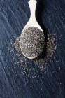 Деревянная ложка семян черного цыгана на доске — стоковое фото