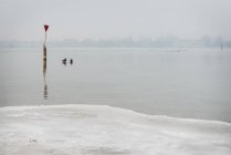Paesaggio invernale con anatre sul lago ghiacciato alla luce del giorno — Foto stock