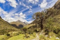 South America, Peru, Andes, National park Huascaran, Natural landscape with green valley and mountain peaks in sunny daylight — Stock Photo