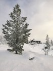 Norwegen, oppland, Hütte in Winterlandschaft tagsüber — Stockfoto