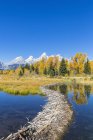 USA United States of America, Wyoming, Rocky Mountains, Teton Range, Grand Teton National Park, Snake River,Nez Perce Peak, Middle Teton, Grand Teton, Mount Owen and Teewinot Mountain — Stock Photo