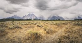 EUA, Wyoming, Grand Teton National Park — Fotografia de Stock