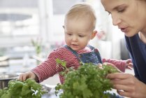Mother and baby girl examining herbs in kitchen — Stock Photo