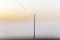 Germania, Baden-Wuerttemberg, Tauberbischofsheim, tralicci di potenza nella nebbia pesante — Foto stock