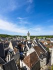 France,  Departement Indre-et-Loire, Loches aerial view with typical architecture and rooftops — Stock Photo