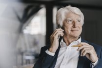 Портрет старшого бізнесмена з використанням мобільного телефону в офісі — стокове фото