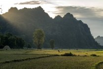 Landschaft mit Karstformationen, Hpa-an, Myanmar, Asiatique, paysage avec montagnes karstiques, Hpa-an, Hpa-an, Myanmar, Asie — Photo de stock