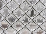 Frost on a wire mesh fence, close-up — Stock Photo
