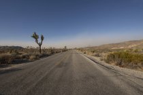 USA, California, Joshua Tree National Park, strada nel deserto — Foto stock