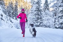 Austria, Tyrol, Karwendel, Riss Valley, woman jogging with dog in winter forest — Stock Photo