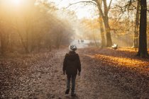 Ragazzo che cammina attraverso una foresta inzuppata di sole — Foto stock