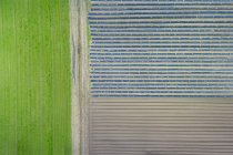 Vista aerea di erba verde e campo durante il giorno — Foto stock