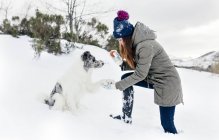 Молода жінка грає зі своєю прикордонною колією в снігу — стокове фото