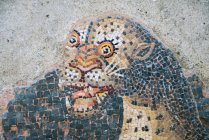 Delos, Mykonos, Grécia. Mosaico de um leão na ilha de Delos, um dos mais importantes sítios mitológicos, históricos e arqueológicos da Grécia
. — Fotografia de Stock