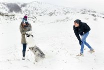 Астурія, Іспанія, молода пара грає з їх собаки на снігу — стокове фото