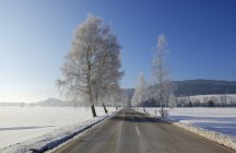 Germany, Sindelsdorf, empty county road in winter — Stock Photo