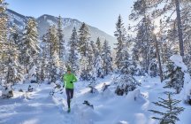 Germany, Bavaria, Isar valley, Vorderriss, woman jogging in winter forest — Stock Photo