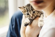 Nahaufnahme eines Jungen, der Schildkrötenpanzerkätzchen knuddelt — Stockfoto