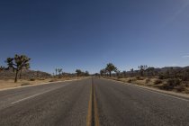 Vista di strada vuota e alberi ai lati durante il giorno — Foto stock