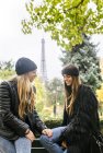 París, Francia, dos mejores amigos sentados en un parque con la Torre Eiffel al fondo
. - foto de stock