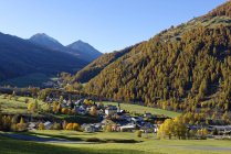 View of trees on hill against small village during daytime, switzerland — Stock Photo