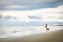 Messico, Nayarit, Giovane donna a spasso Golden Retriever cane in spiaggia — Foto stock