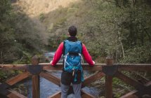 Uomo escursionista in piedi sul ponte e contemplando foresta — Foto stock