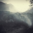 Italia, Lombardia, nebbia nella valle alpina della Chiesa — Foto stock