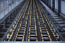 Città del Capo, Sud Africa, processo di produzione Apple tramite nastro trasportatore vista dall'alto — Foto stock