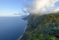 Portugal, Madeira, cliffs at Santana, north coast — Stock Photo