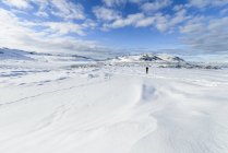 Paesaggio innevato con persona solitaria a piedi, Islanda — Foto stock