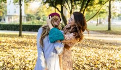 Dois melhores amigos se divertindo em um parque no outono — Fotografia de Stock