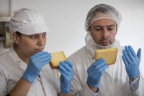 Lavoratori del caseificio che testano la qualità del formaggio — Foto stock