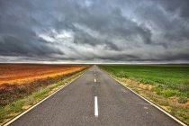 Espagne, Province de Zamora, route et champs vides sous un ciel nuageux — Photo de stock