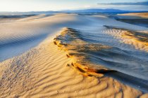Dune at Delta del Ebro, Catalua — стокове фото