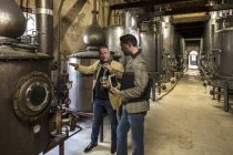 Two confident men tasting whiskey in distillery — Stock Photo
