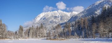 Allemagne, Oberstdorf, Moorweiher avec Rubihorn Mountain, Gaisalphorn et Schattenberg en hiver — Photo de stock