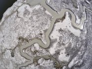 USA, Virginia, Aerial drone photography of marshes and creeks in the winter near the Blackwater Wildlife Refuge on Maryland's Eastern Shore — Stock Photo