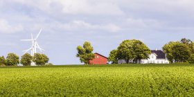 Dinamarca, Mon Island, campo, parque eólico, granero y casa residencial - foto de stock