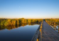 Lake Feder e calçadão — Fotografia de Stock