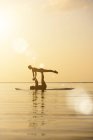 Couple doing yoga on paddleboard at sunset — Stock Photo