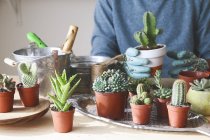 Junger Mann verpflanzt Kaktus auf Holztisch — Stockfoto