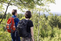 Germany, Harz, Brocken, back view of two friends with backpacks looking at view — Stock Photo
