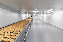 Виробнича лінія на хлібопекарському заводі — стокове фото