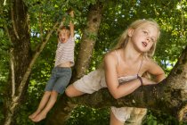 Little boy and his sister climbing on a tree in the forest — Stock Photo