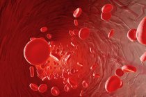 Erythrozytenzellen fließen in eine Arterie — Stockfoto