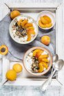 Joghurt mit knusprigem Müsli und frischen Aprikosen — Stockfoto