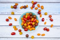 Tomates frescos coloridos - foto de stock
