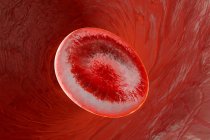 Illustration of  Erythrocyte cell — Stock Photo