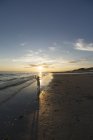Голландія, Westenschouwen, пляж, дівчина стояла на березі моря, на заході сонця — стокове фото